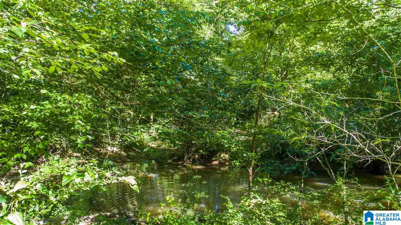 1126 Highway 144 Ragland, AL 35131 - Photo 18 of 22