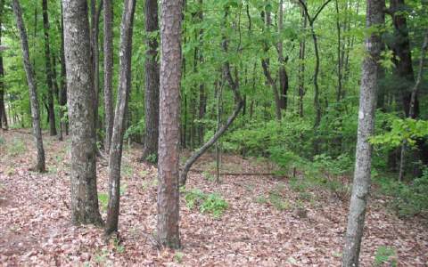 21-22 Abbott Mill Road Ellijay, GA 30540 - Photo 1 of 1 Main View