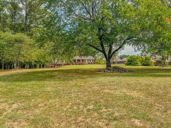 a view of outdoor space with yard