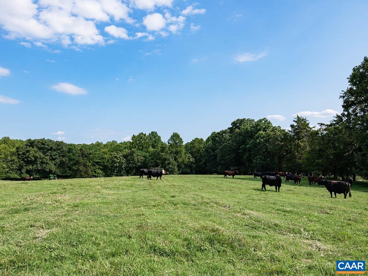 28786 Tatum Road Unionville, VA 22567 - Photo 8 of 27 Gallery Image 8