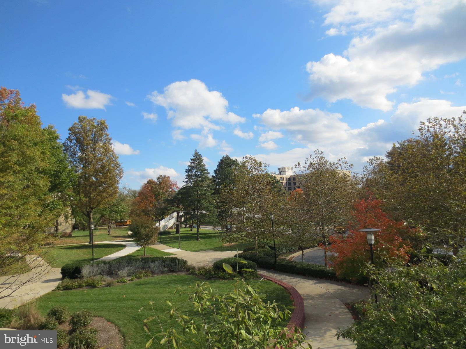 5485 Harpers Farm Road, Unit L6 Columbia, MD 21044 - Photo 14 of 20 a view of a green yard