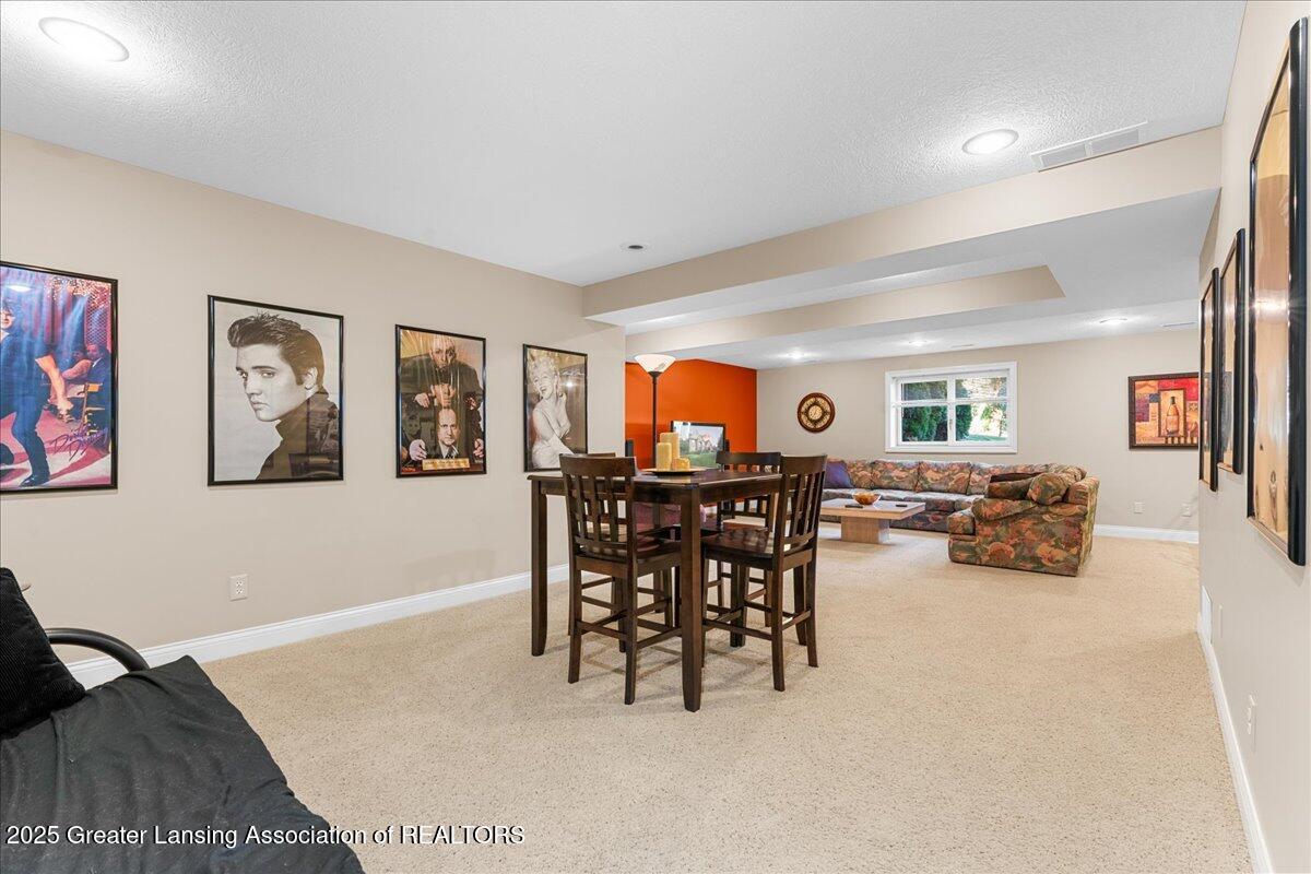 11701 Hidden Ridge Drive Dewitt, MI 48820 - Photo 38 of 57 52-Media Jett - 51