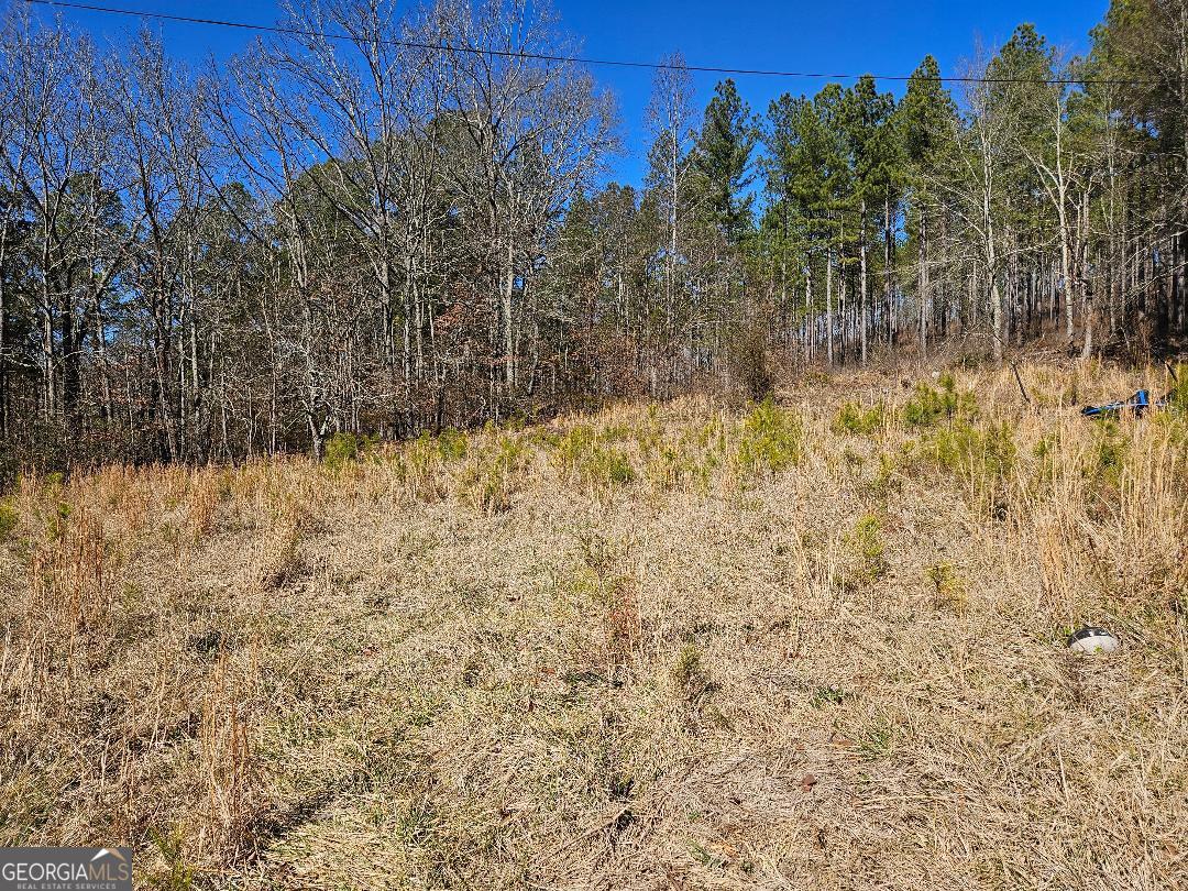 914 Chubbtown Road Cedartown, GA 30125 - Photo 10 of 11 a view of a yard