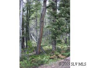 Tbd Tbd Rio Road Fort Garland, CO 81133 - Photo 1 of 1 Gallery Image 1
