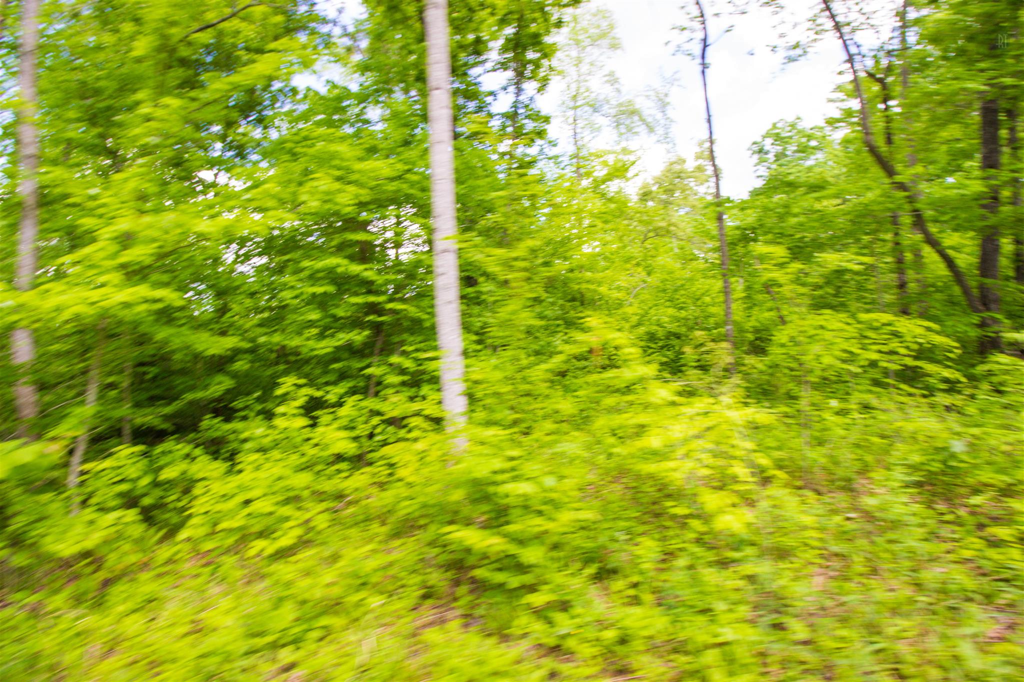 54 Hutchins Bend Road Sparta, TN 38583 - Photo 8 of 8 Gallery Image 8