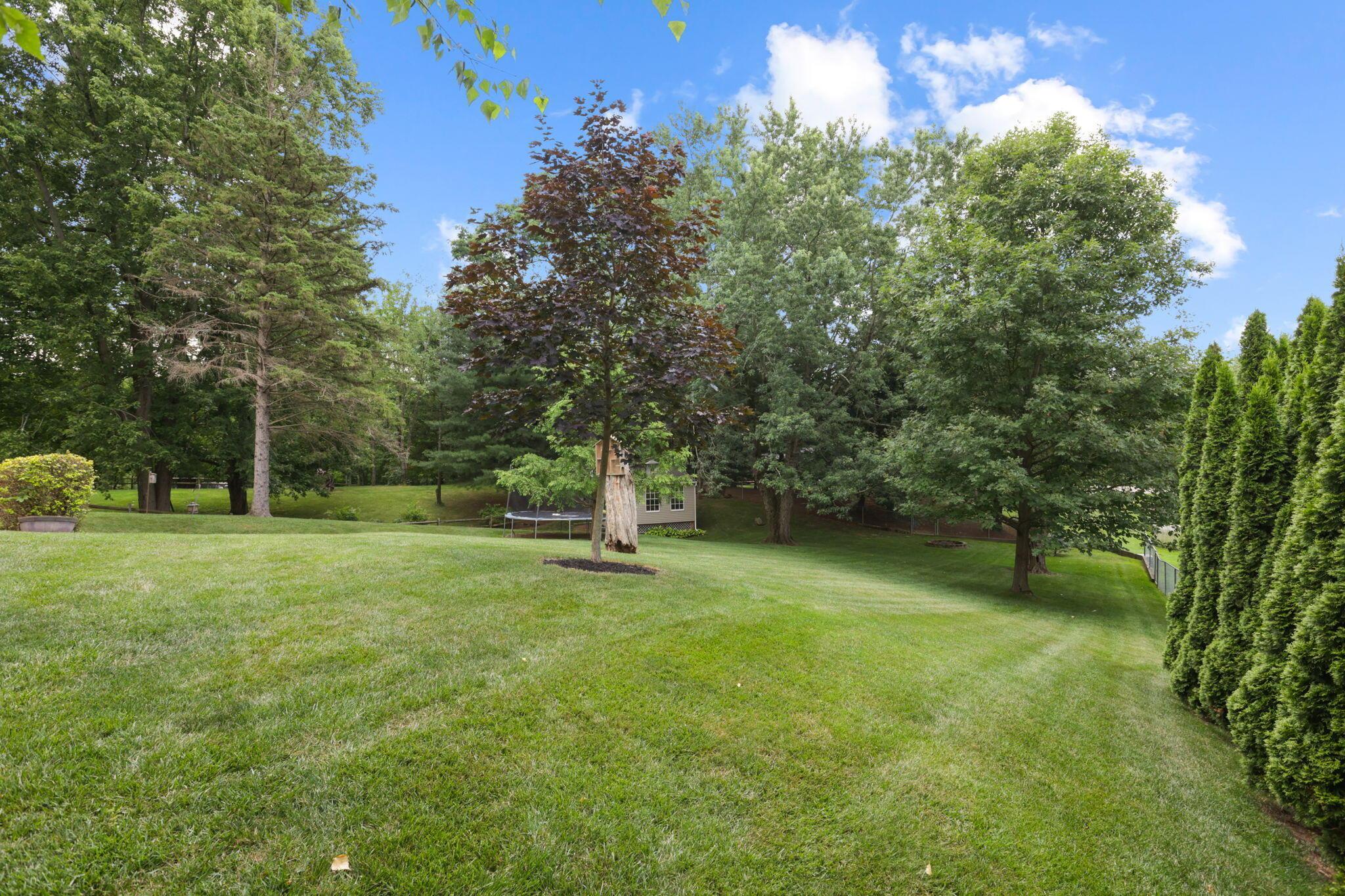 227 Middle Ground Road Southwest Pataskala, OH 43062 - Photo 69 of 83 Sloped backyard