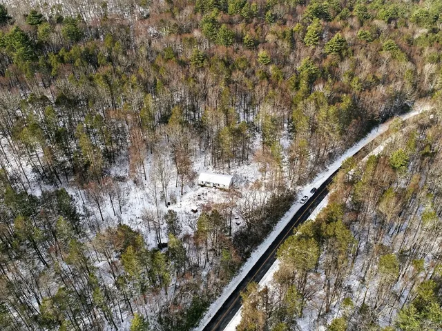 a view of a forest with mountains in the background