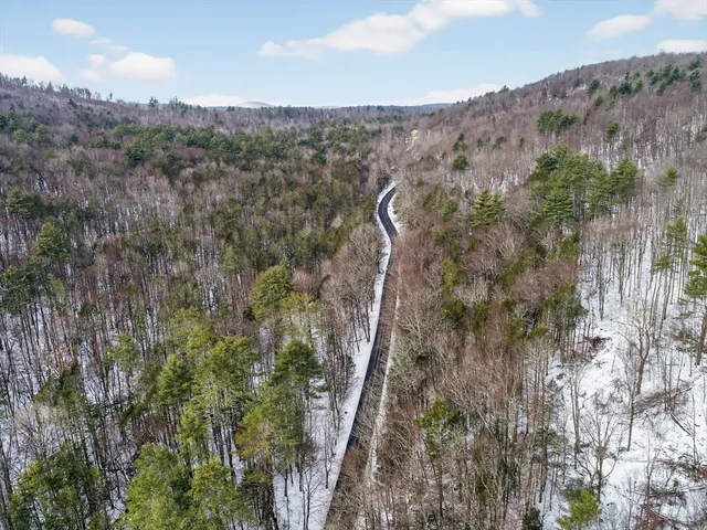 a view of a city with lush green forest