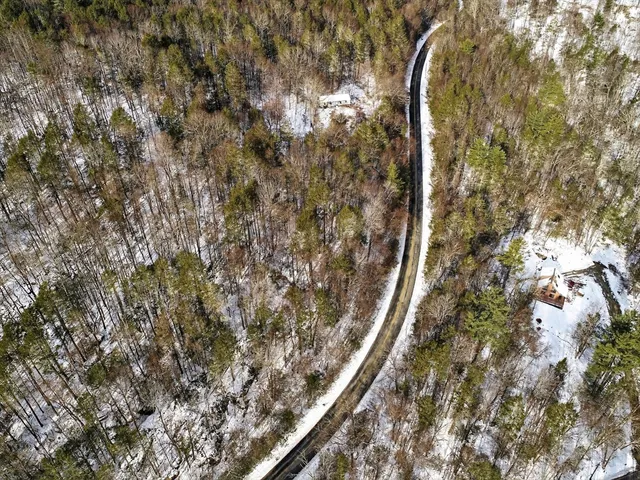 a view of a city with lush green forest