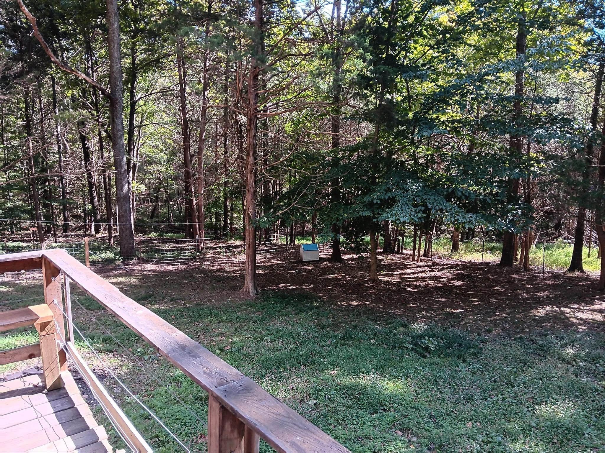 1019 Katy Lane Bethpage, TN 37022 - Photo 17 of 17 a view of a yard with wooden fence