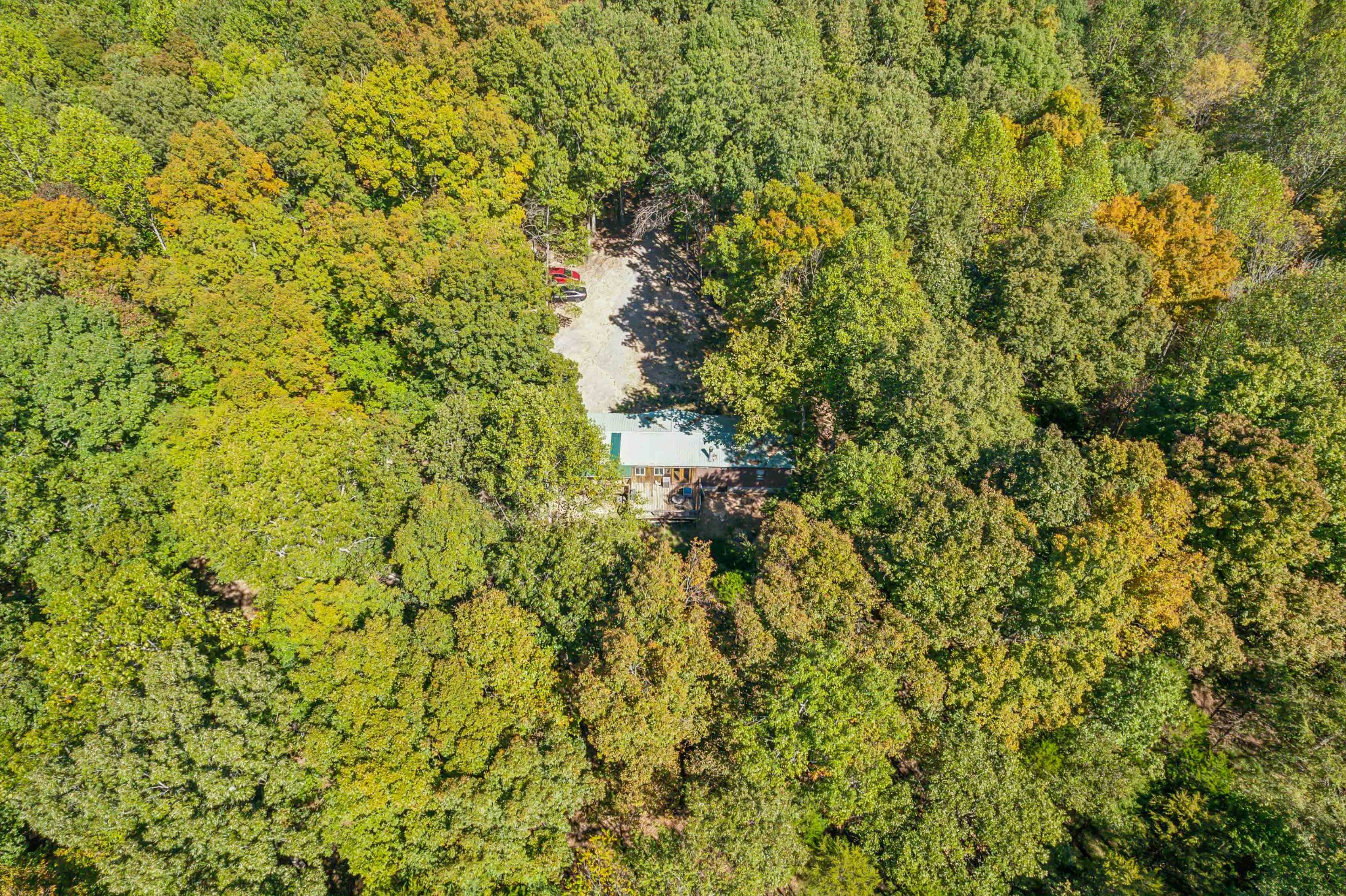 1019 Katy Lane Bethpage, TN 37022 - Photo 3 of 17 a view of a tree with a background