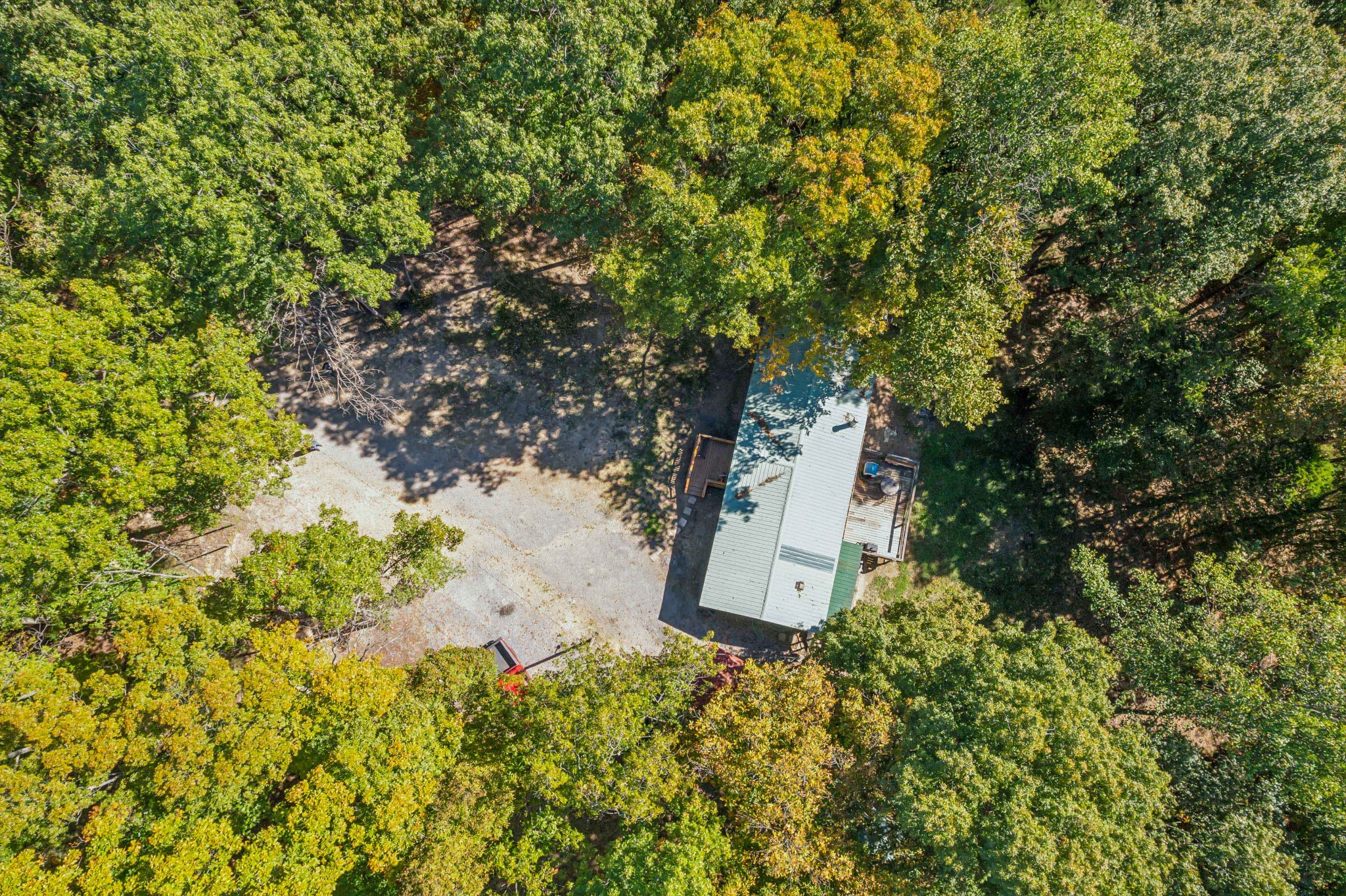 1019 Katy Lane Bethpage, TN 37022 - Photo 4 of 17 a view of a yard with plants and large trees