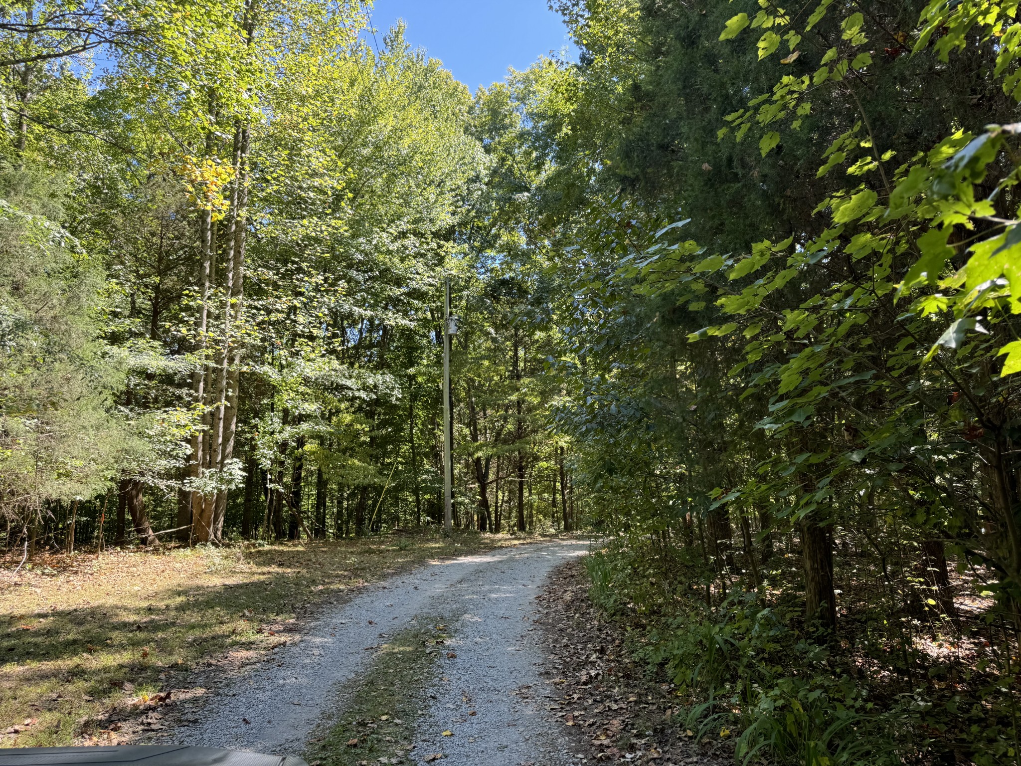 1019 Katy Lane Bethpage, TN 37022 - Photo 6 of 17 a view of a road with plants and trees