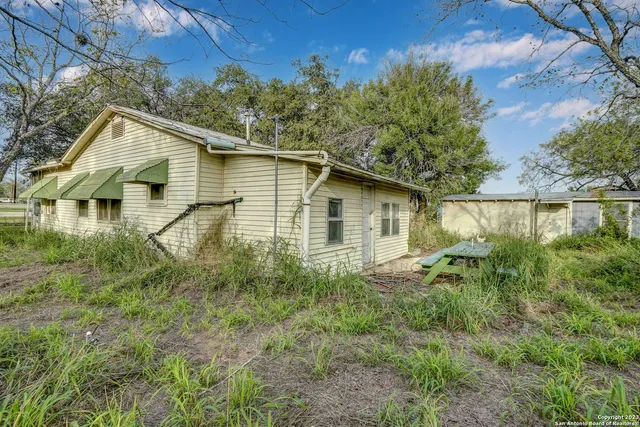 a backyard of a house with plants and large trees
