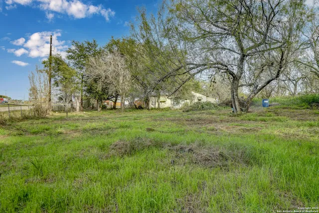a view of a field with trees