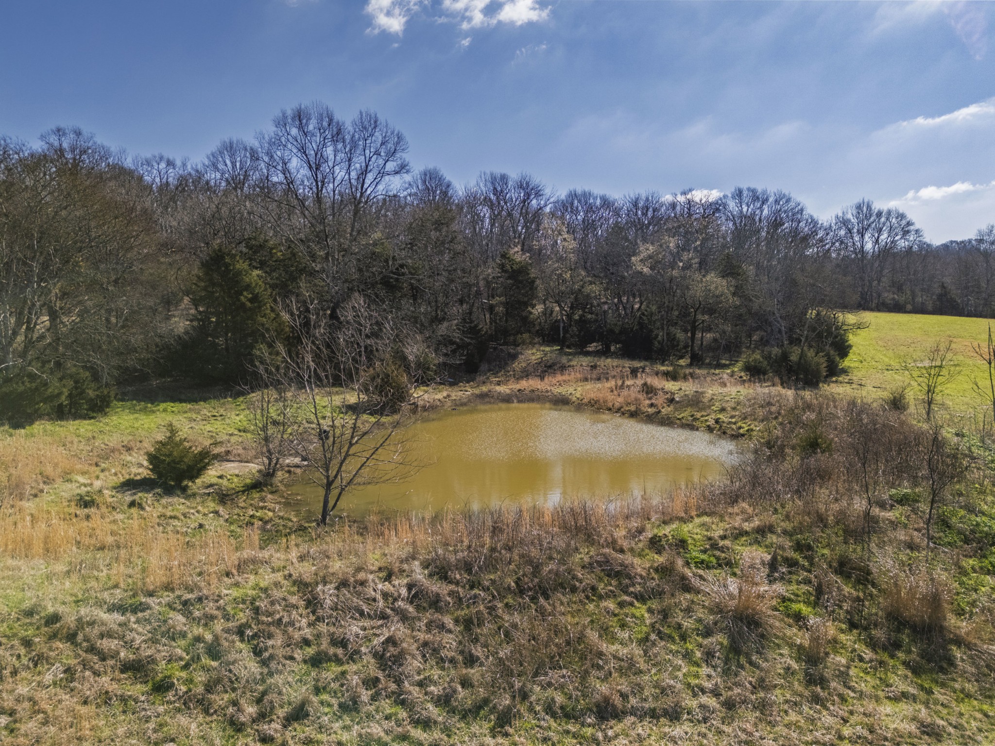 70 Gattistown Road Mulberry, TN 37359 - Photo 6 of 19 a view of swimming pool with a yard