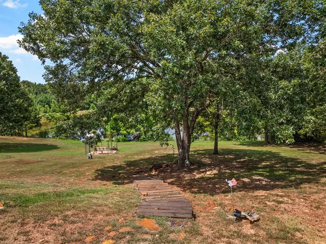 a view of a tree in the middle of a yard