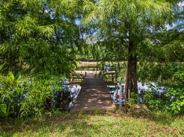 a view of a back yard