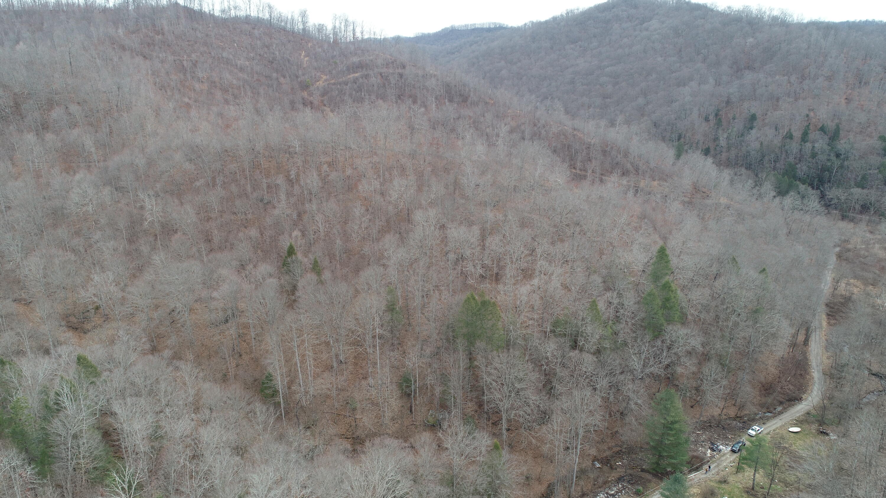 9999 Henry Branch Rd Flat Walker, KY 40997 - Photo 1 of 14 DJI_0393