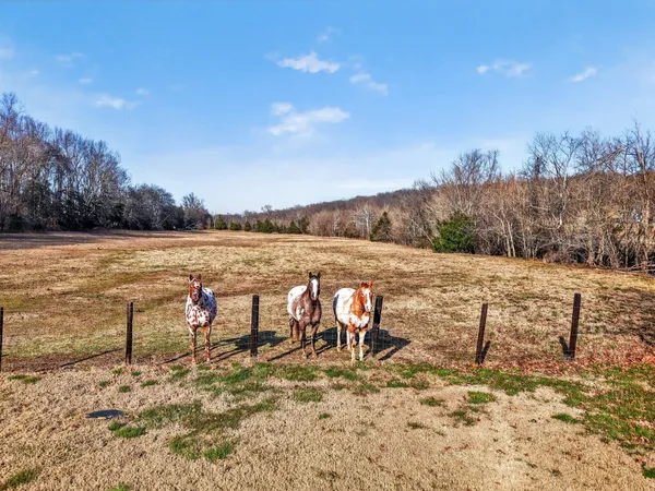 $1,350,000 | 600 Bates Hollow Road, Prospect, TN 38477