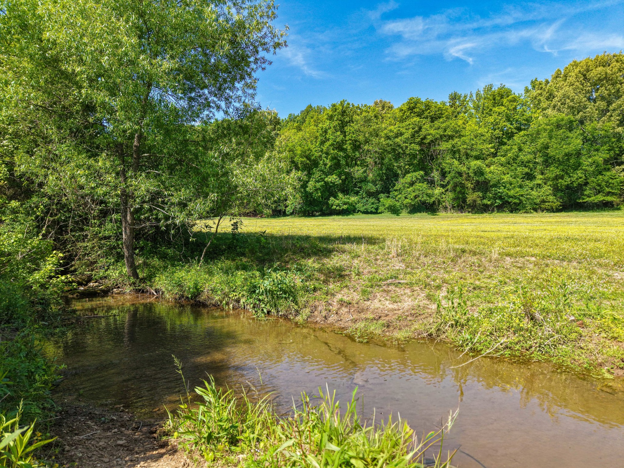 600 Bates Hollow Road Prospect, TN 38477 - Photo 66 of 73 a view of an ocean from a yard