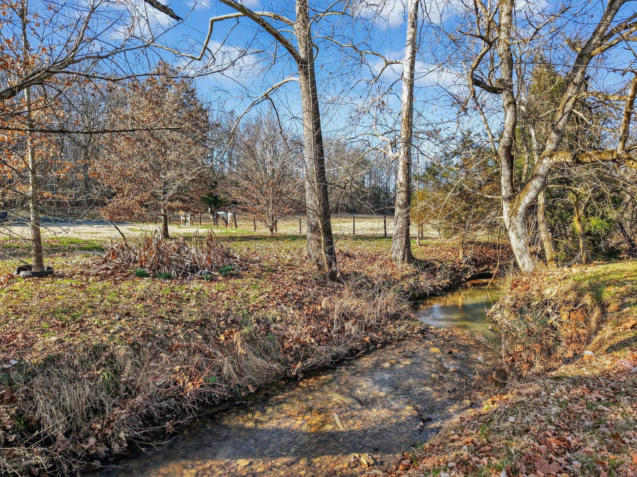 600 Bates Hollow Road Prospect, TN 38477 - Photo 66 of 68
