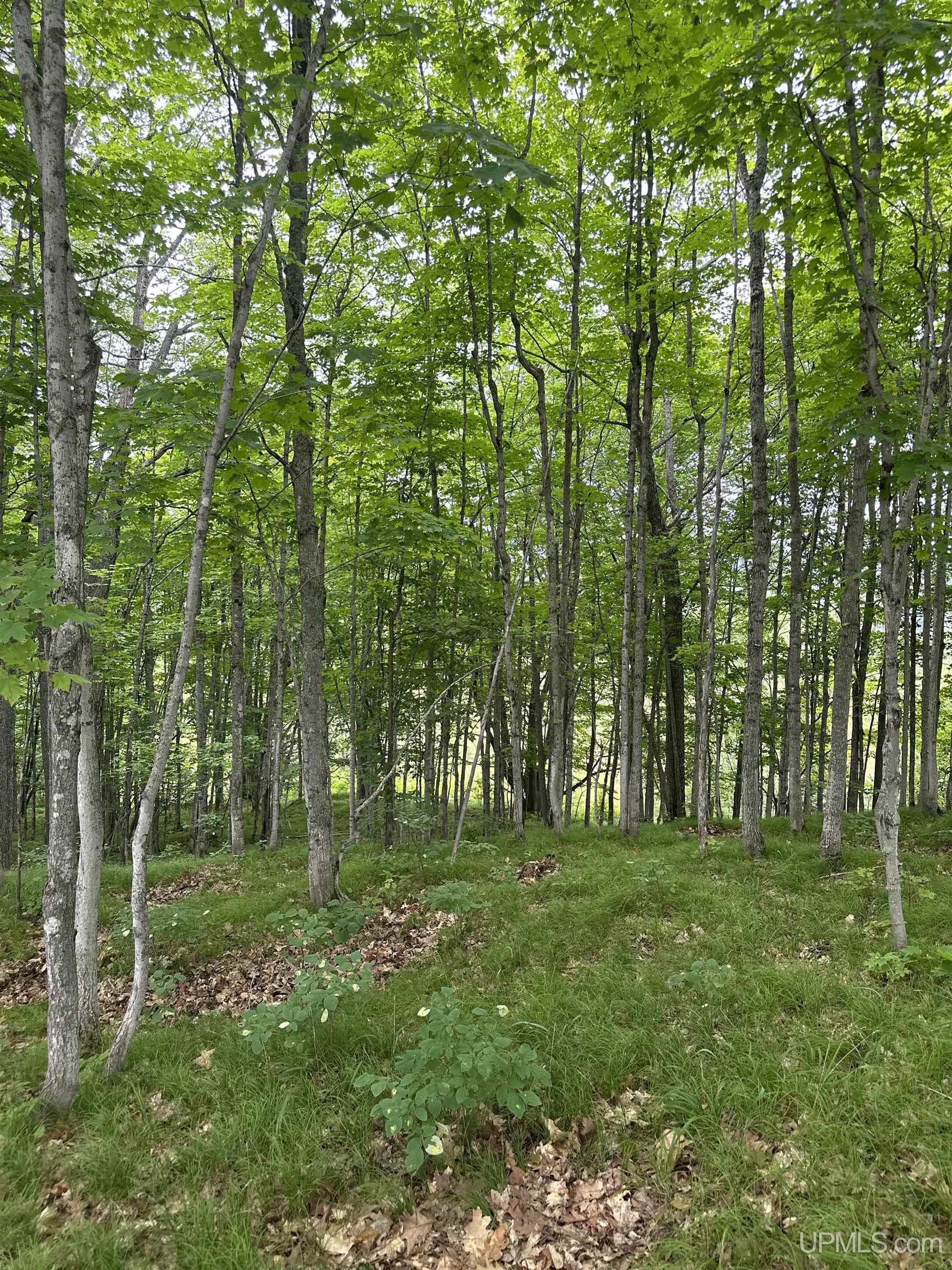 Tbd Co Rd 496 (b) Road, Unit PARCEL B Champion, MI 49814 - Photo 9 of 33