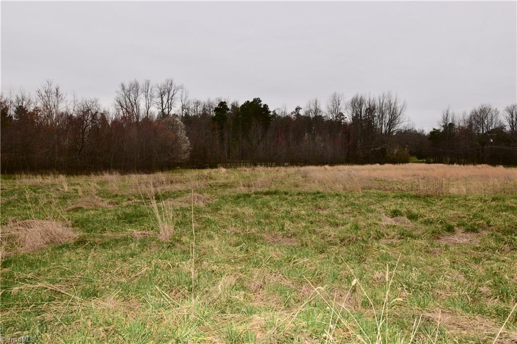 6556 Foster Road Whitsett, NC 27377 - Photo 26 of 27 Distant view of pond.