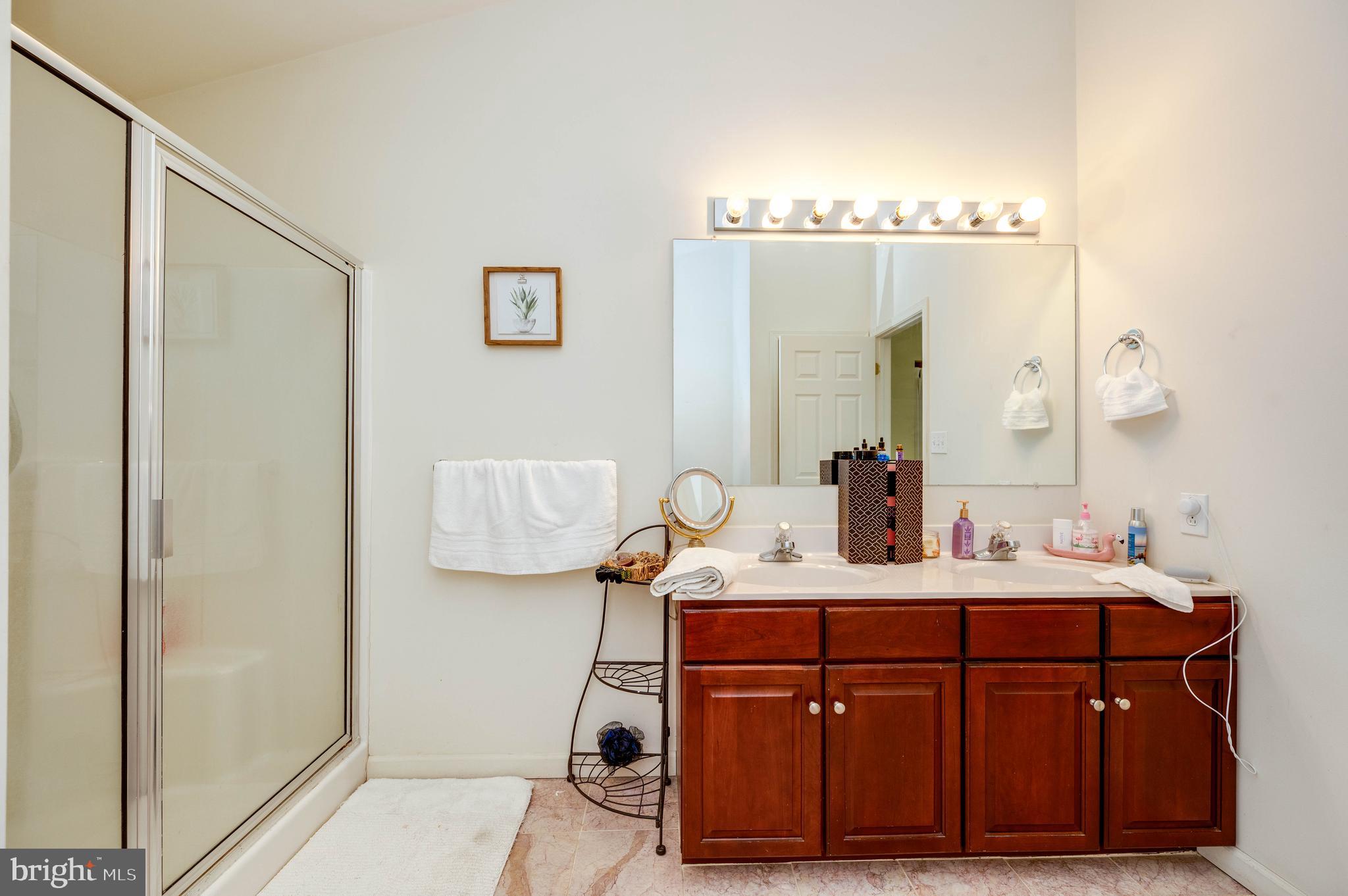4660 Dunham Drive Reading, PA 19606 - Photo 30 of 48 a bathroom with a sink and a mirror
