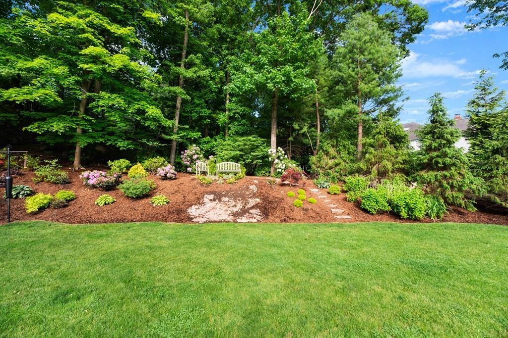 77 Royalston Road Wellesley, MA 02481 - Photo 28 of 30 a view of a garden with plants