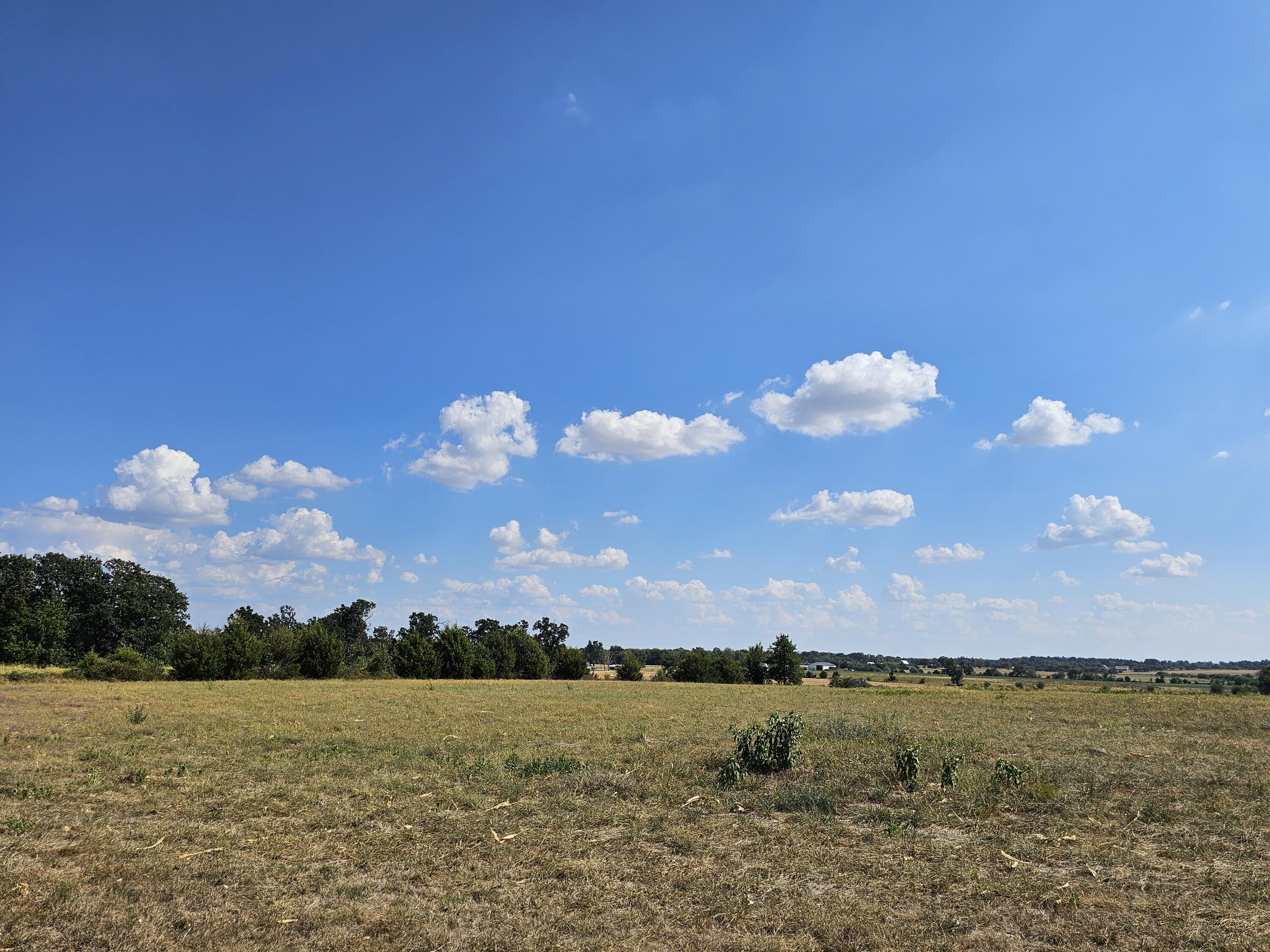 18127 State Rd H Monett, MO 65708 - Photo 37 of 65 20260909_151843