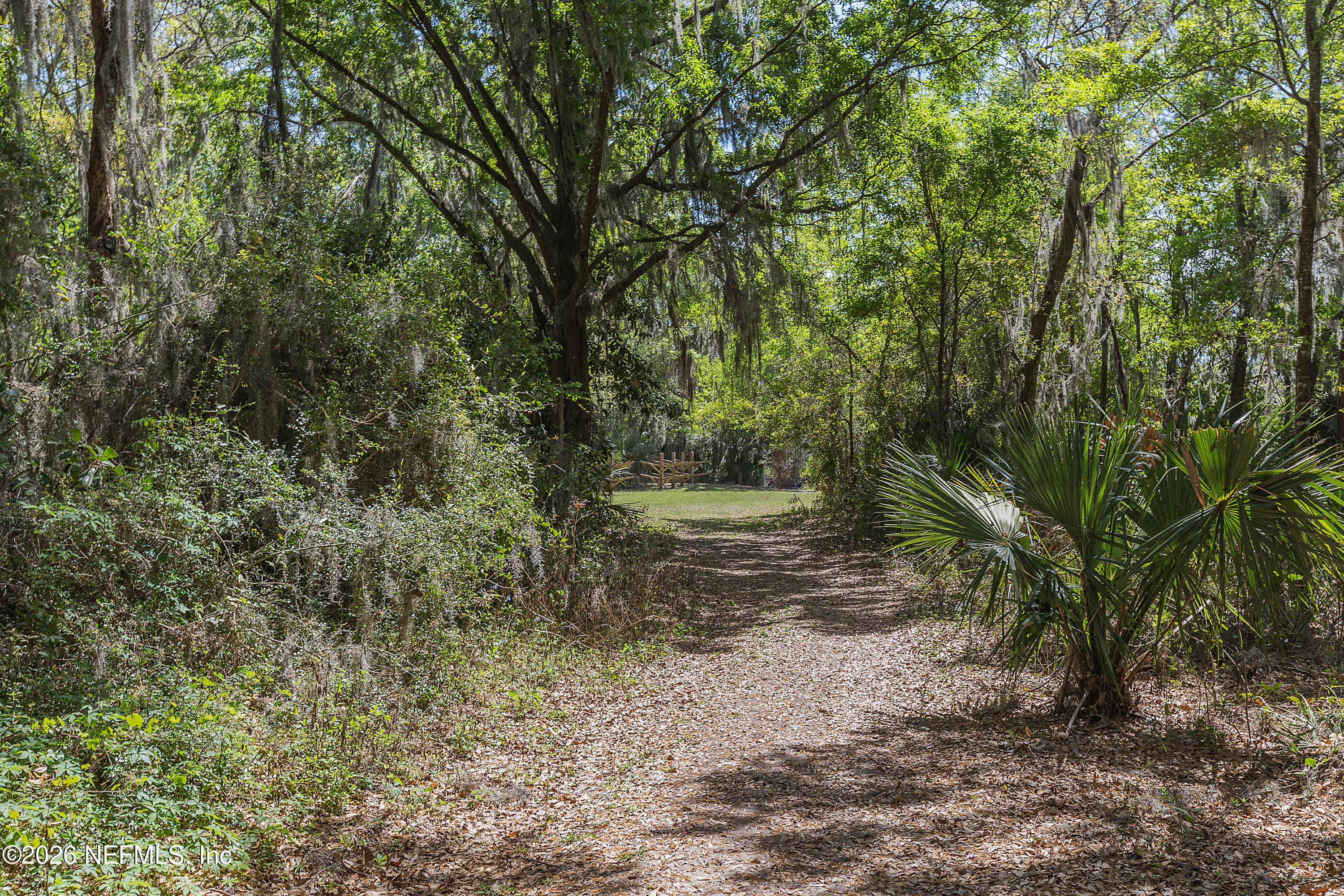 4963 Shell Crk Trail Jacksonville, FL 32226 - Photo 28 of 39 a view of a forest filled with trees