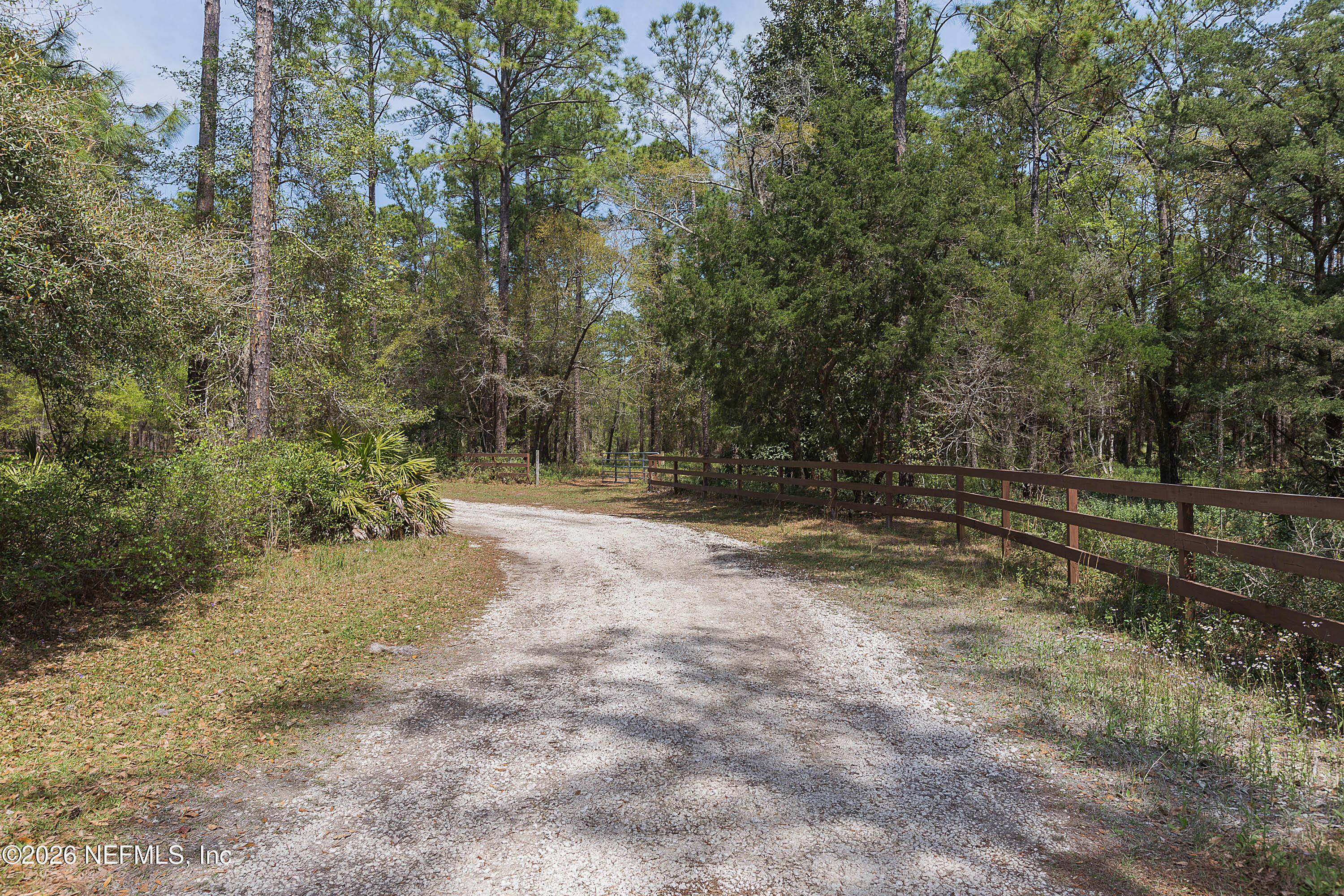 4963 Shell Crk Trail Jacksonville, FL 32226 - Photo 39 of 39 a view of backyard with green space