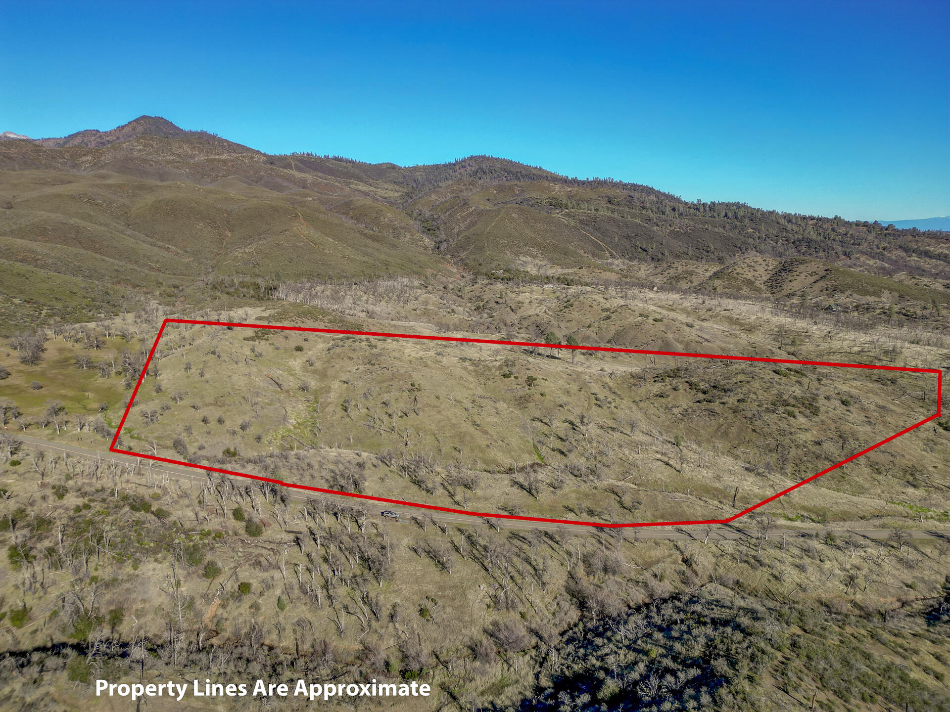 0 Platina Road Igo, CA 96047 - Photo 1 of 13 PlatinaRoadProperty-18