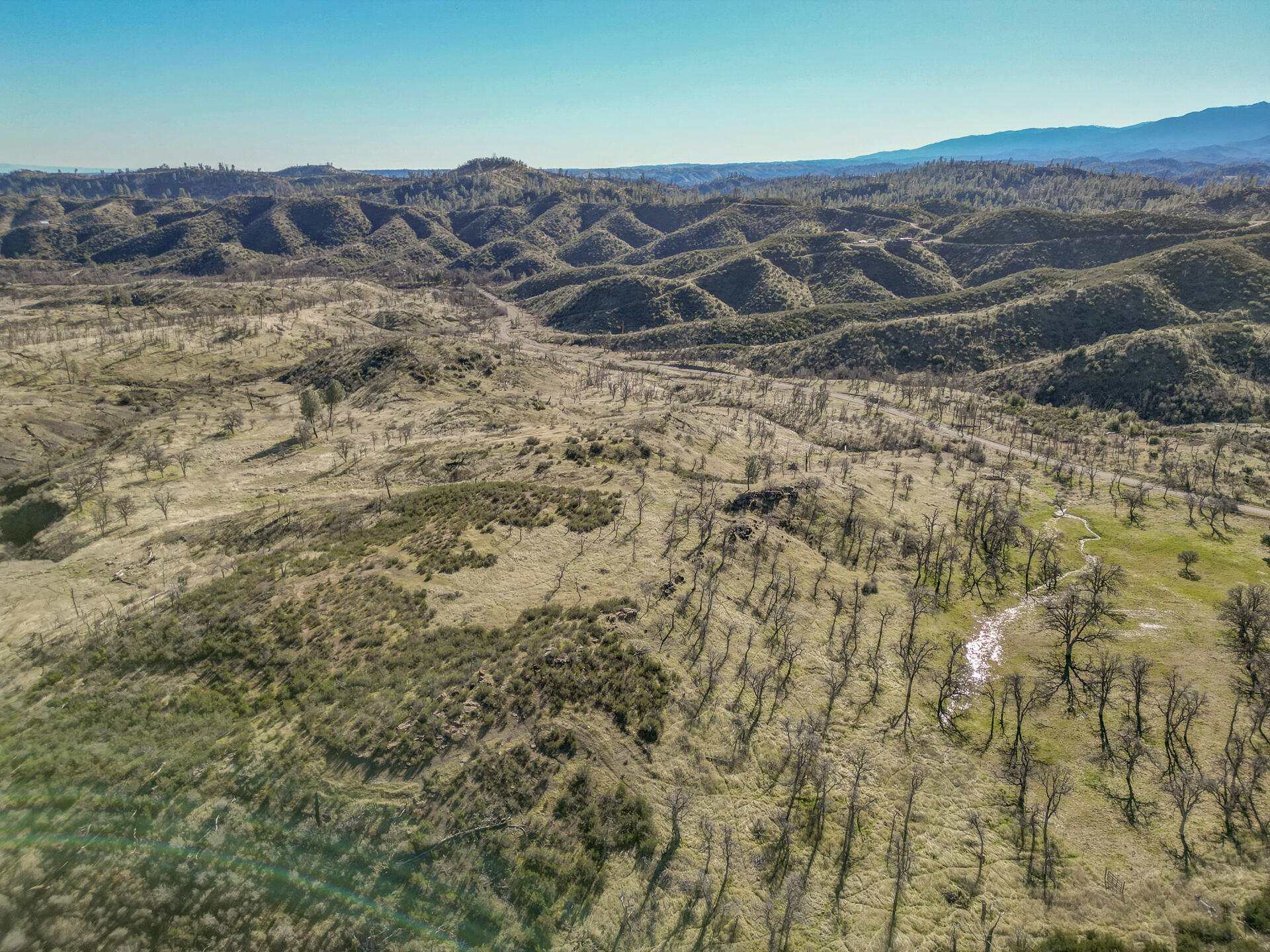 0 Platina Road Igo, CA 96047 - Photo 12 of 13 PlatinaRoadProperty-5