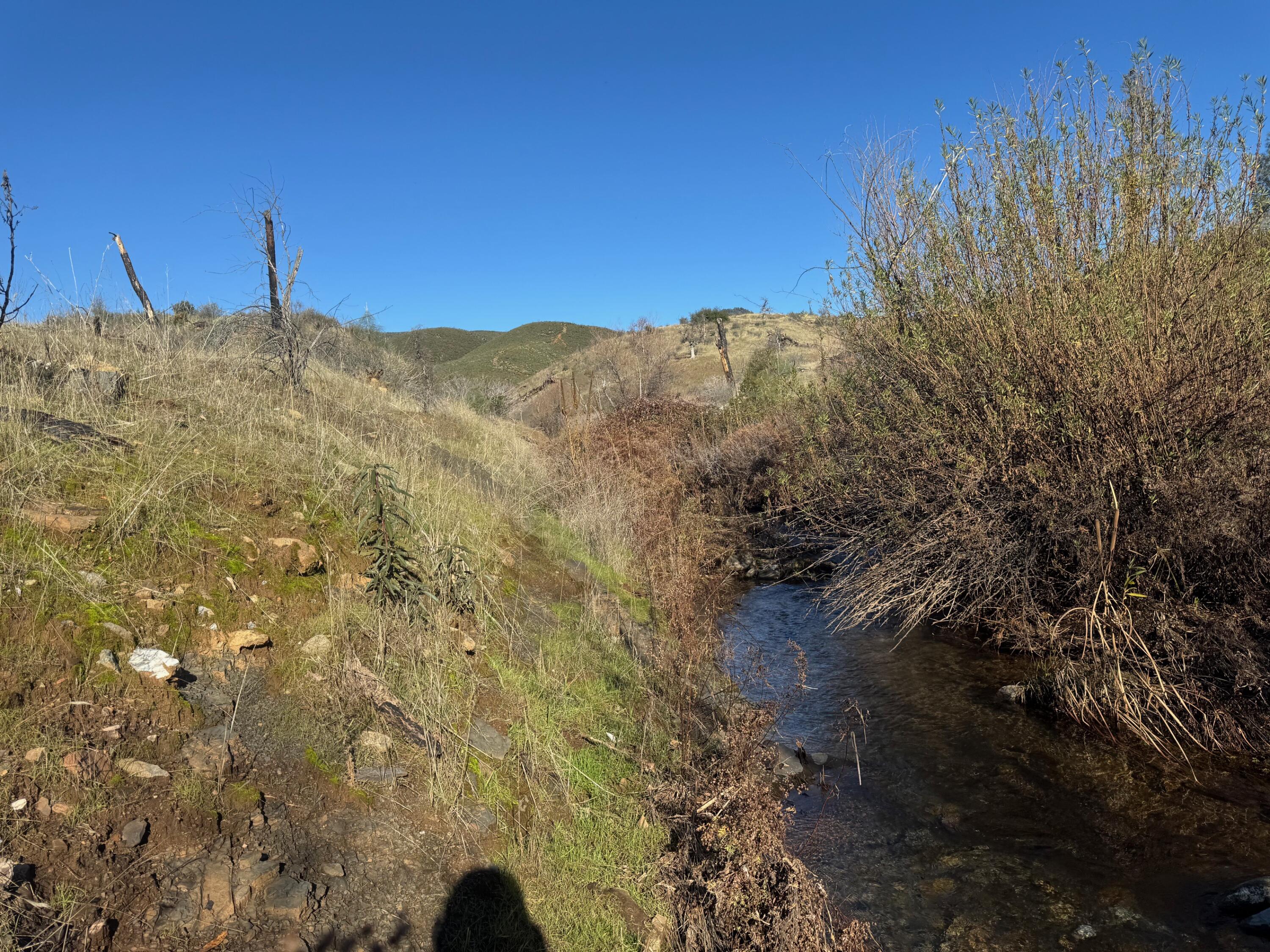 0 Platina Road Igo, CA 96047 - Photo 2 of 13 IMG_2558