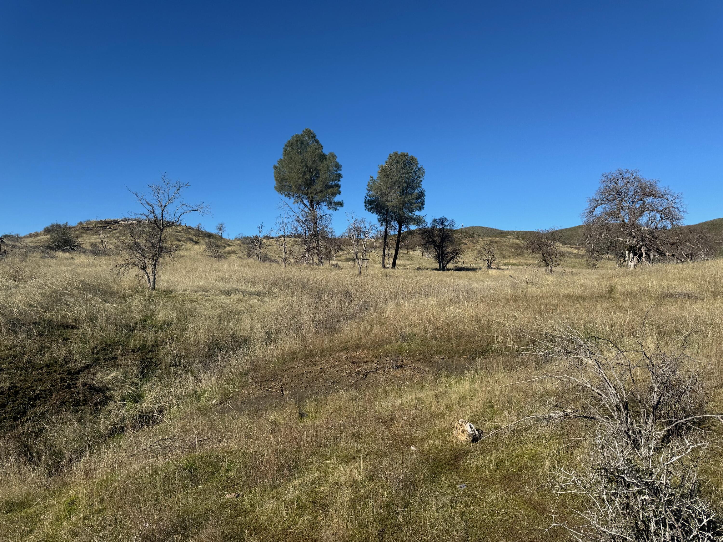 0 Platina Road Igo, CA 96047 - Photo 3 of 13 IMG_2552