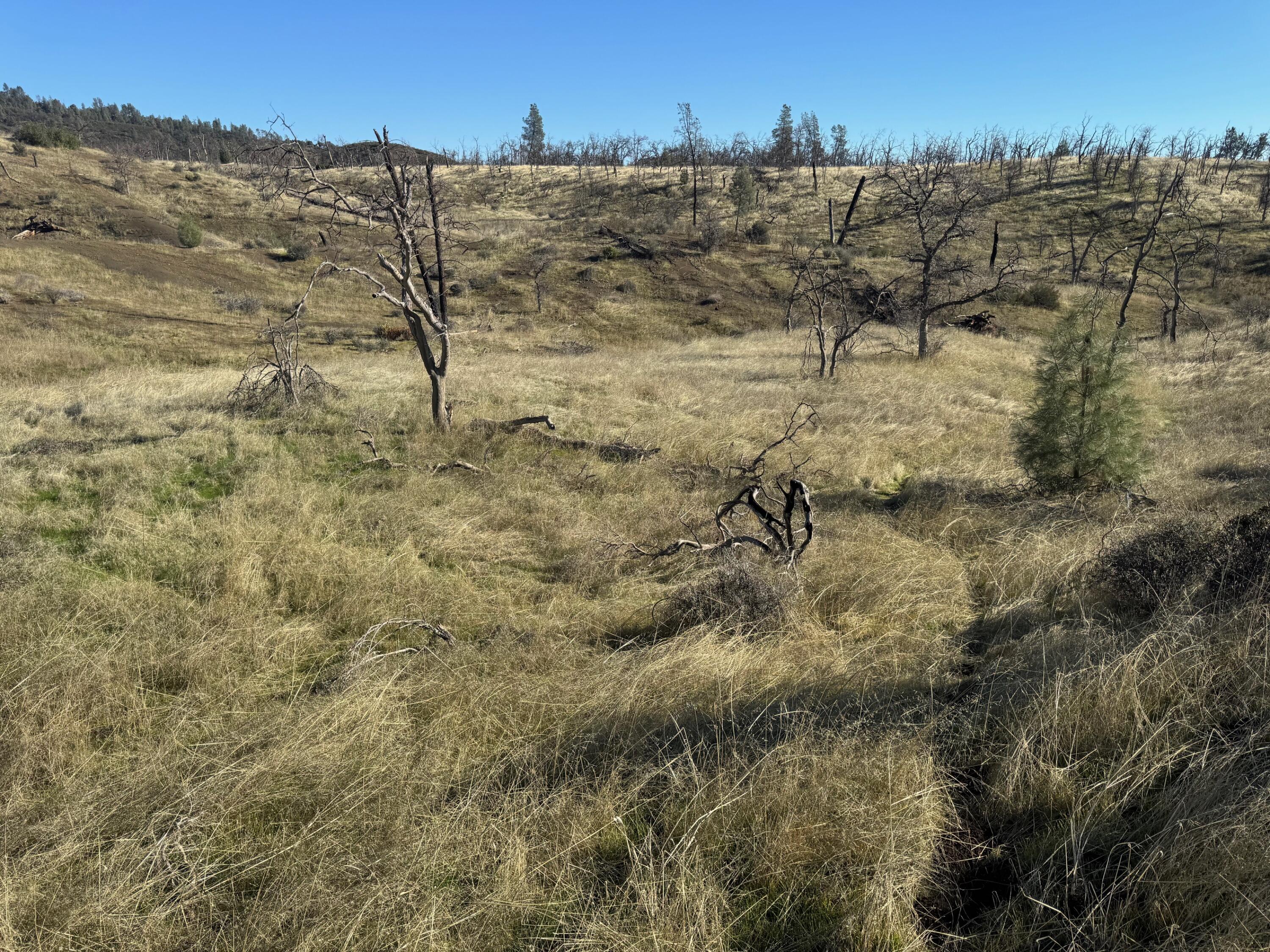 0 Platina Road Igo, CA 96047 - Photo 5 of 13 IMG_2563