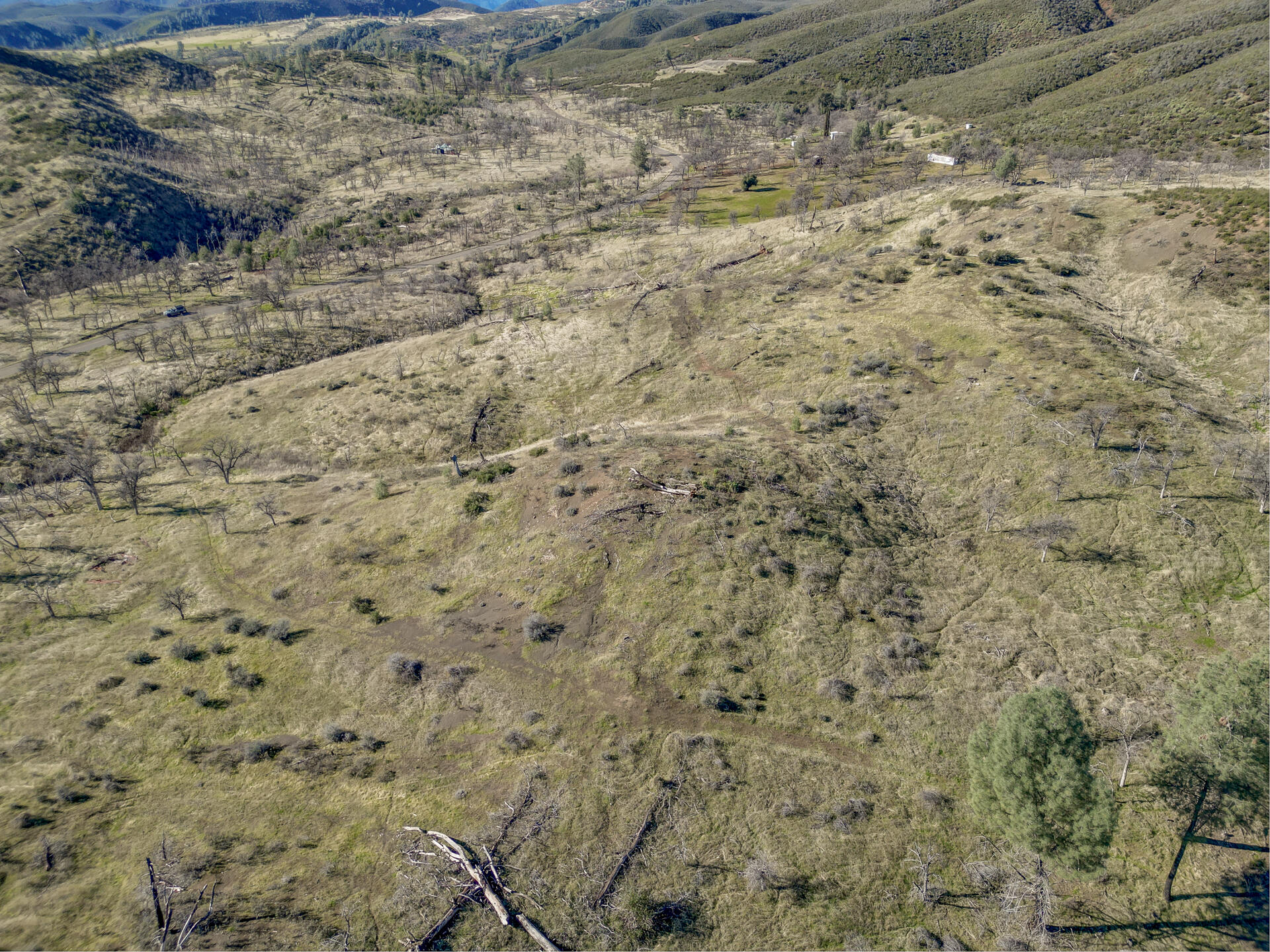 0 Platina Road Igo, CA 96047 - Photo 9 of 13 PlatinaRoadProperty-17