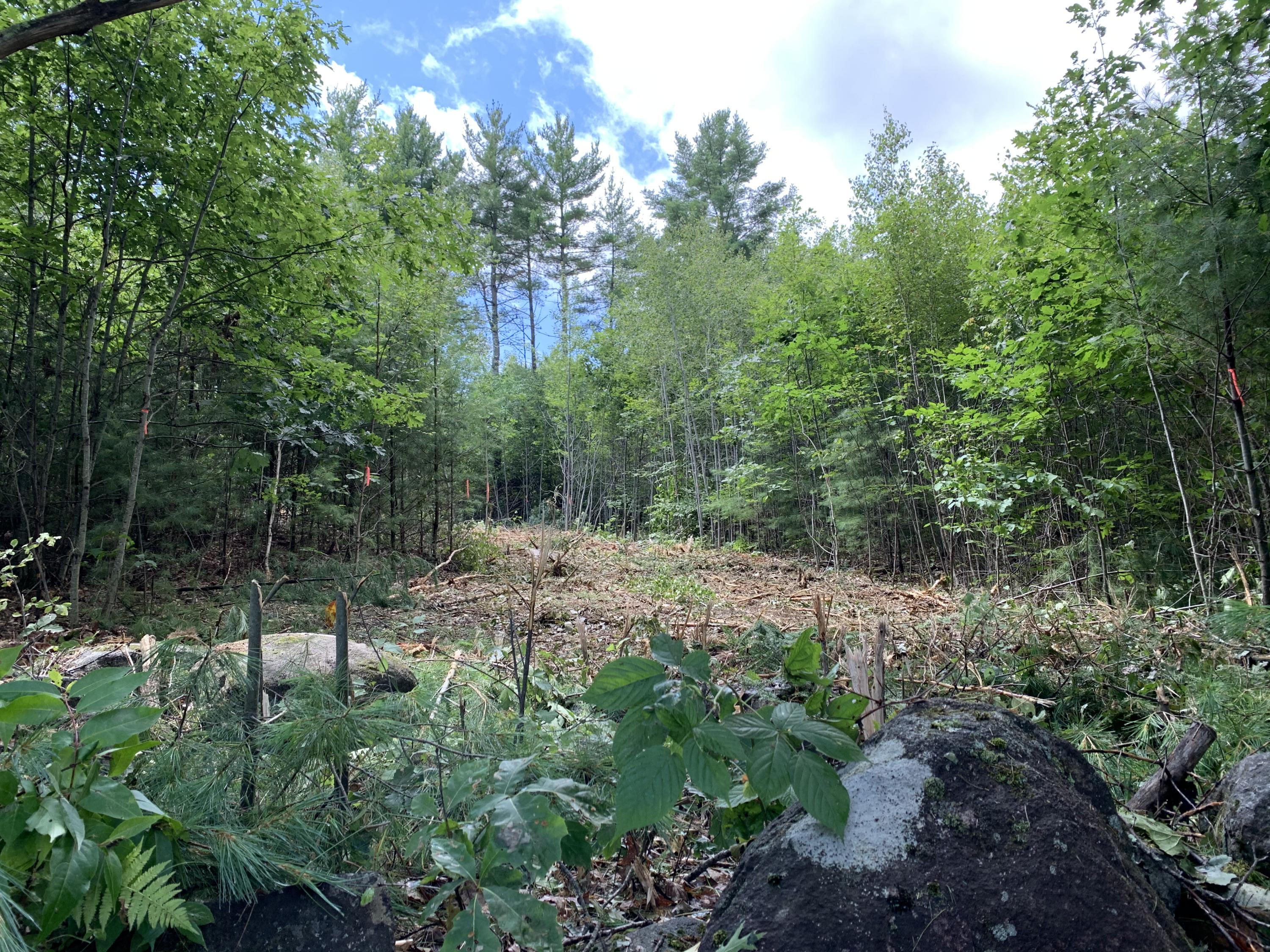 Lot 3 South Colby Road Somerville, ME 04348 - Photo 5 of 7 357E2AD7-EBF2-4E6B-A023-23C17E5504CB