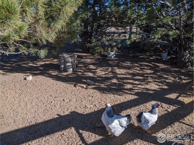 $1,250,000 | 15681 County Road 74, Eaton, CO 80615