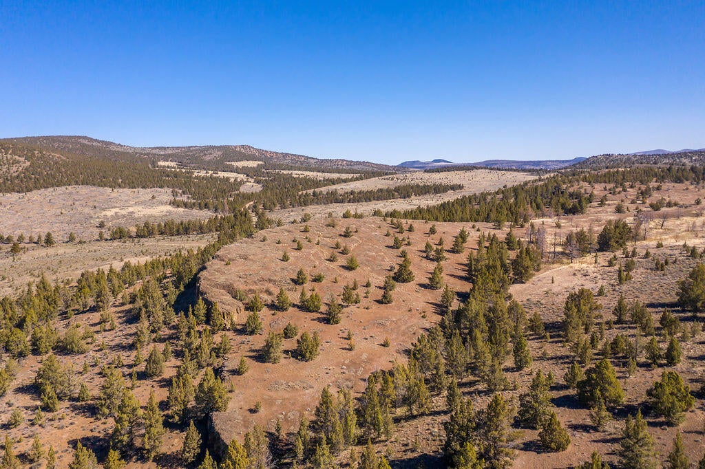 0 Southeast Frank Forest Road Madras, OR 97741 - Photo 10 of 17 10