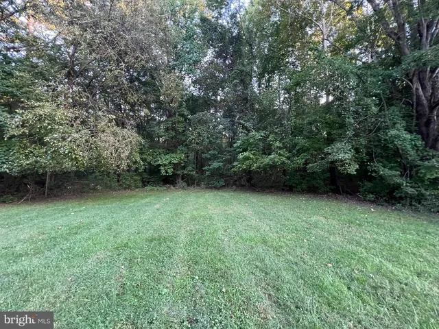 a view of a green yard