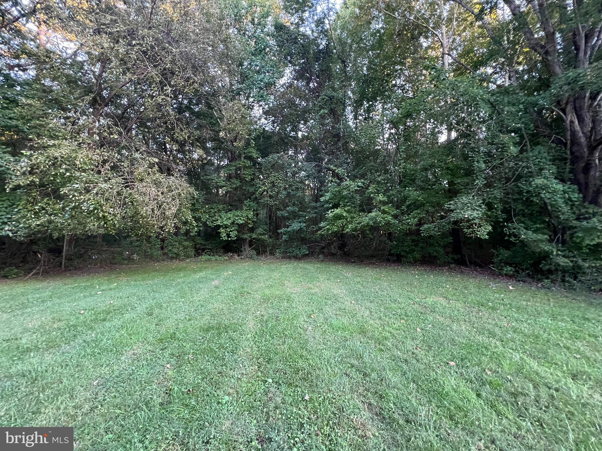1290 College Road Dover, DE 19904 - Photo 8 of 33 a view of a green yard