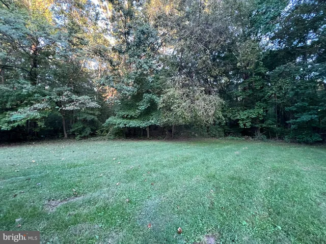 a view of a backyard with a garden