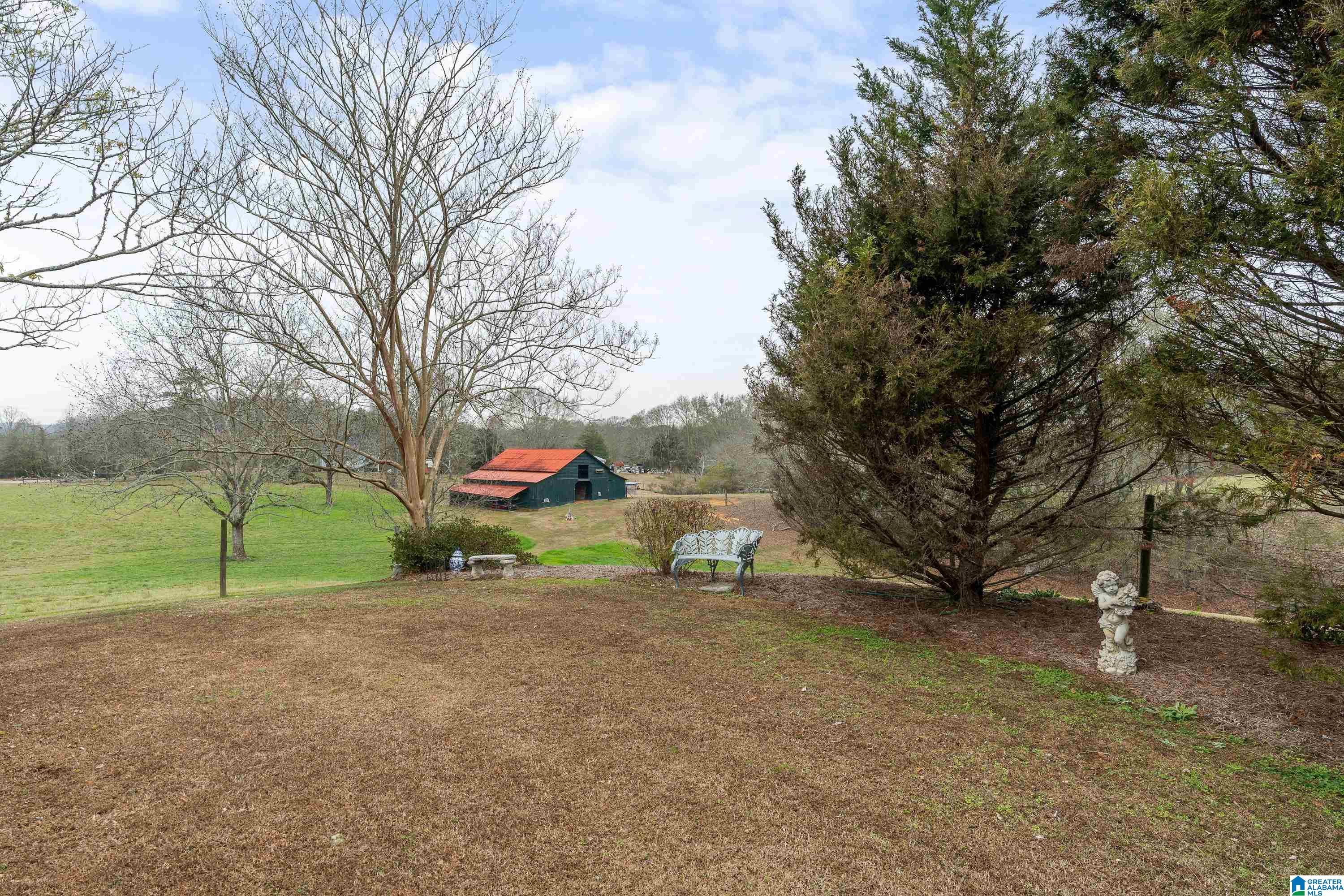 2310 Mineral Springs Road Pell City, AL 35125 - Photo 50 of 51 Gallery Image 50