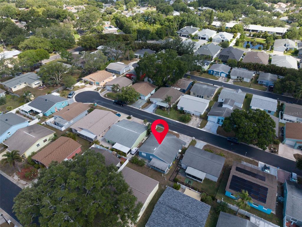 1009 Crane Court Dunedin, FL 34698 - Photo 40 of 63