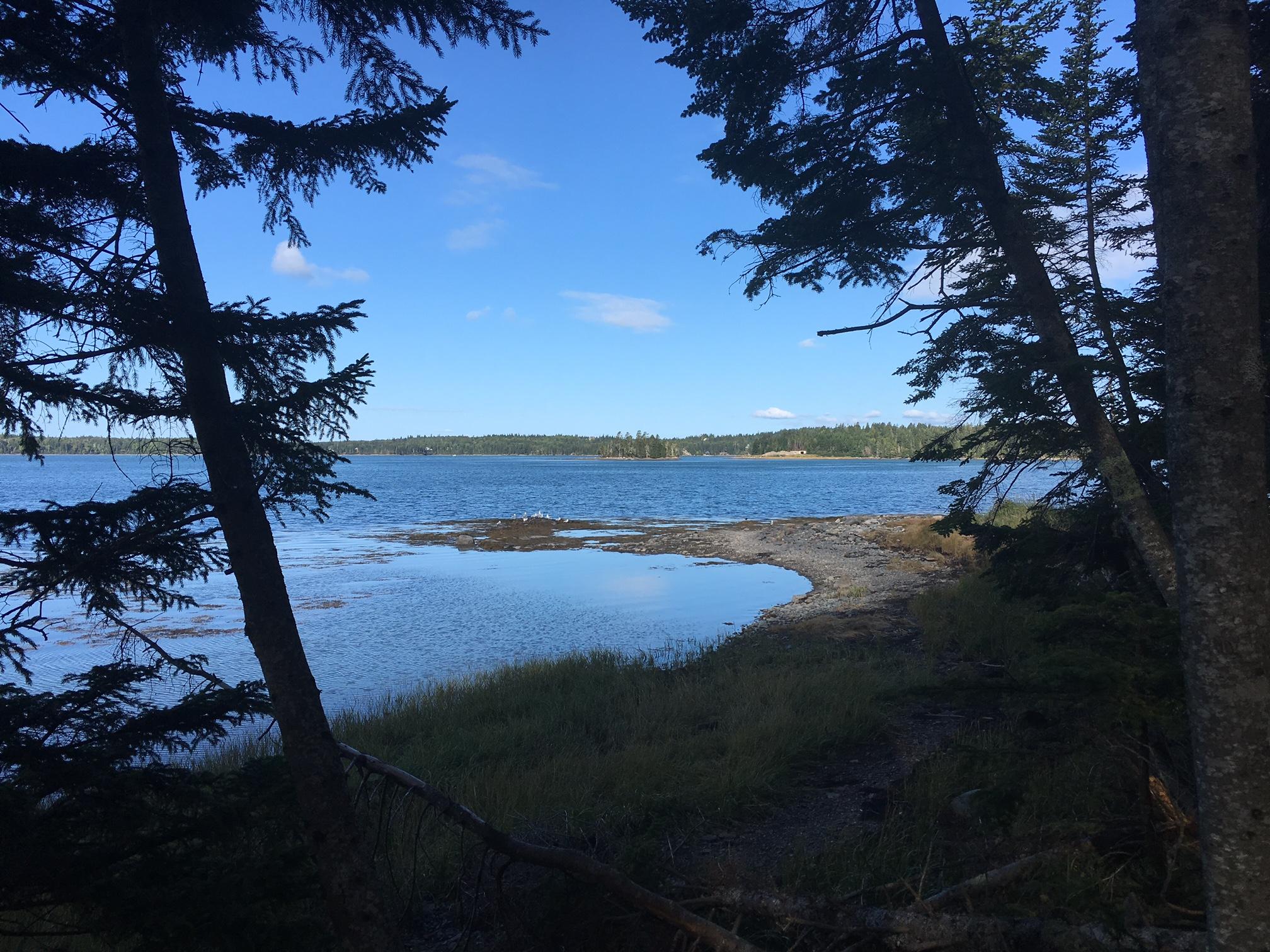 8 Collins Cove Road Machiasport, ME 04655 - Photo 9 of 10 IMG_3054