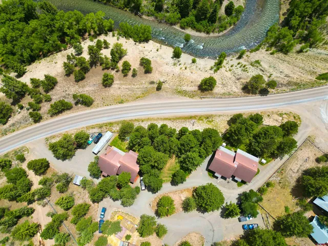 a picture of flowers