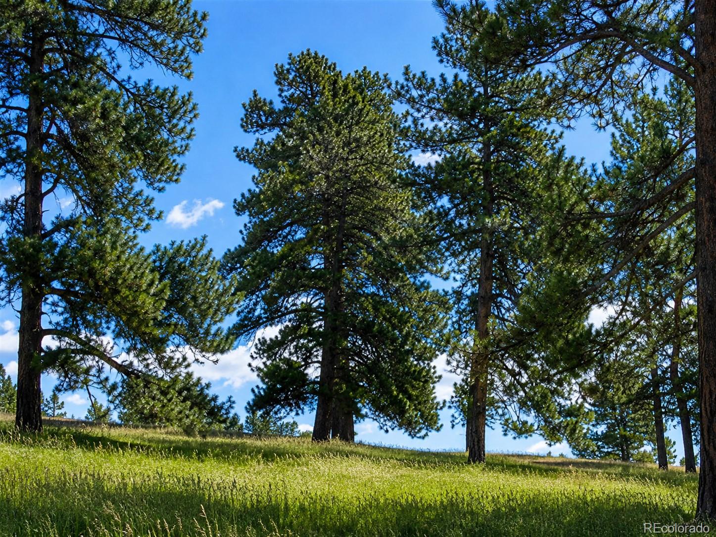Forest Rim Road Aurora, CO 80016 - Photo 10 of 10